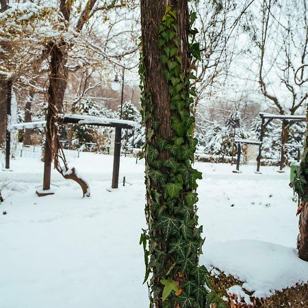 Boutique Luxury Flats - La Maison Du Petit Paris ブカレスト エクステリア 写真
