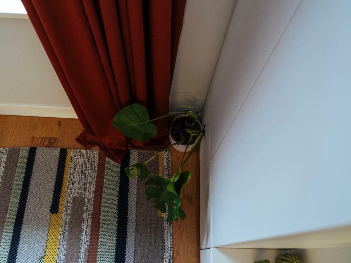 Boutique Luxury Flats - La Maison Du Petit Paris ブカレスト エクステリア 写真